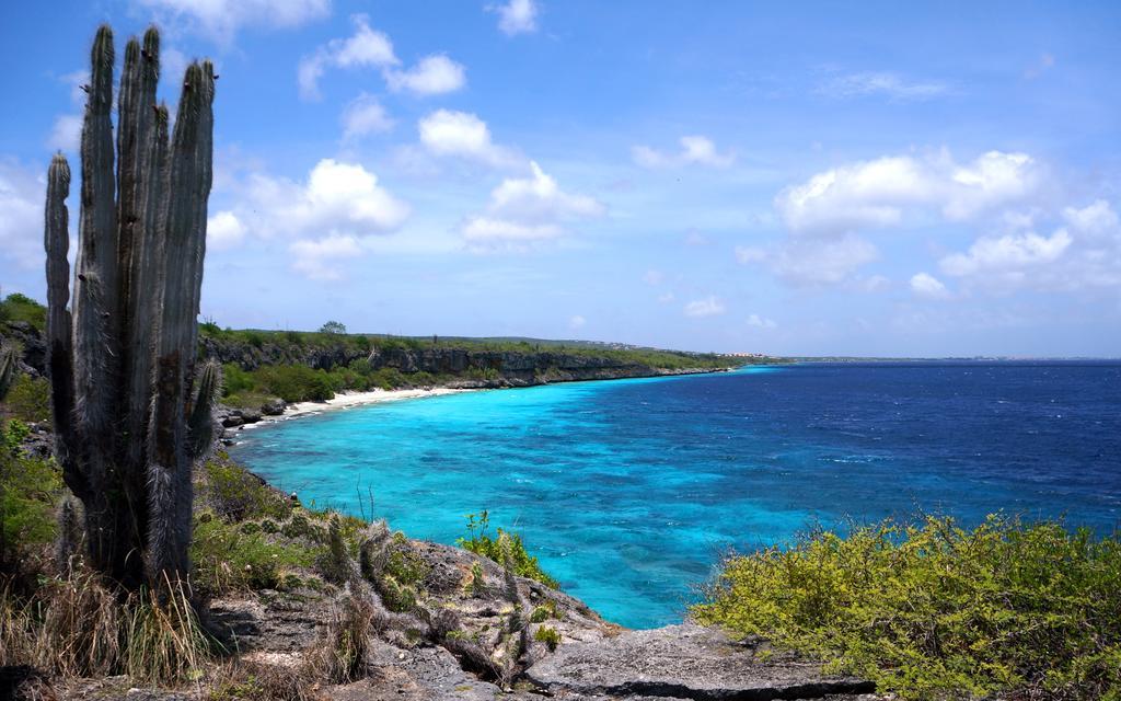Dormio Bonaire Village Camera foto